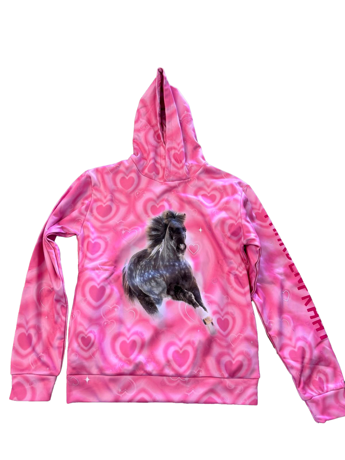 Hoodie Roze Teddy