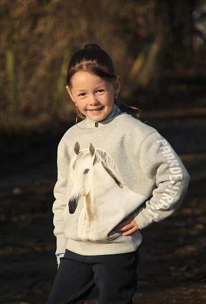 Sweater George Grijs