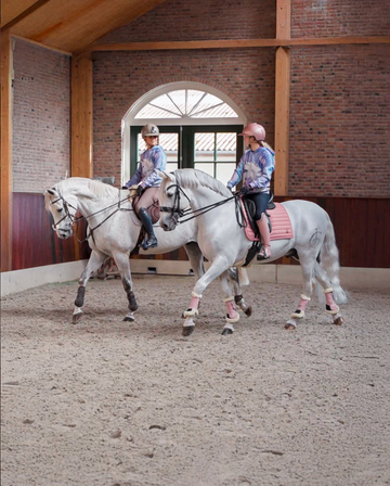 Hoodie Unicorn George